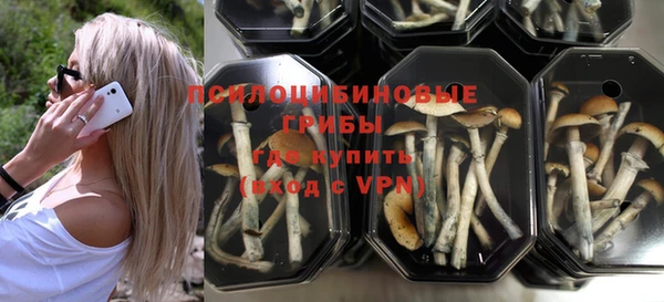 соль ск Новый Уренгой