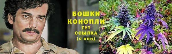 тгк Нефтегорск