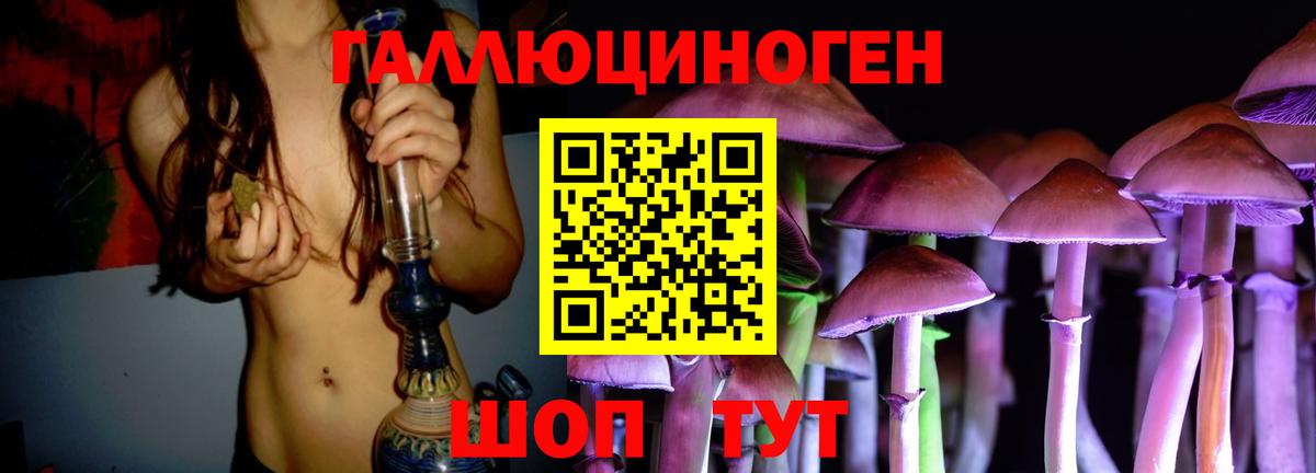 Псилоцибиновые грибы Psilocybine cubensis Туапсе